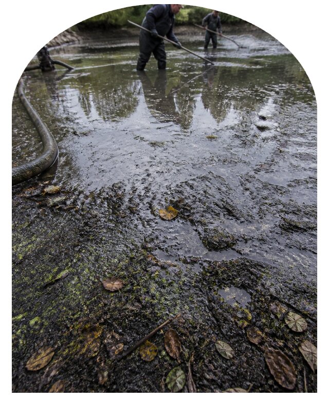 Очистка пруда в Полевской от ила мусора и водорослей с вывозом